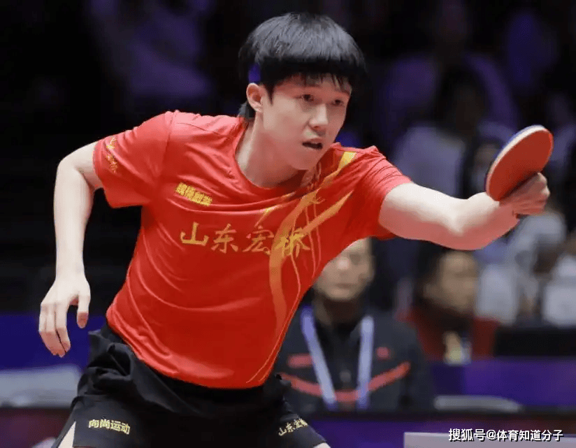 他們的三分 他們的三分