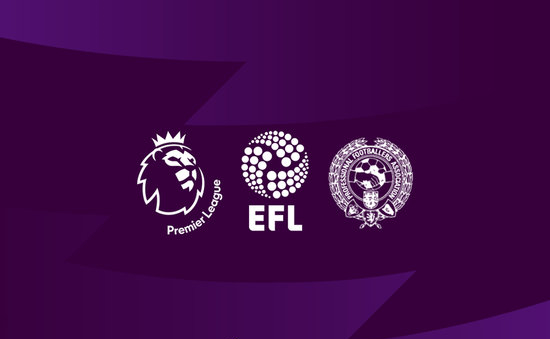 主导体系 主导体系